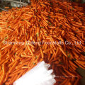 Новый Свежий Урожай Моркови